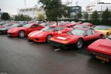 Ferrari Club Meeting brings 80 Ferrari's together